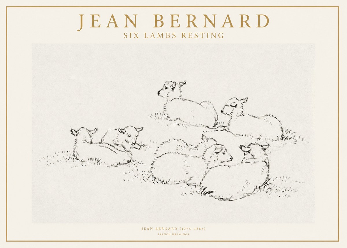 Jean Bernard Study of Lambs No2 - Póster