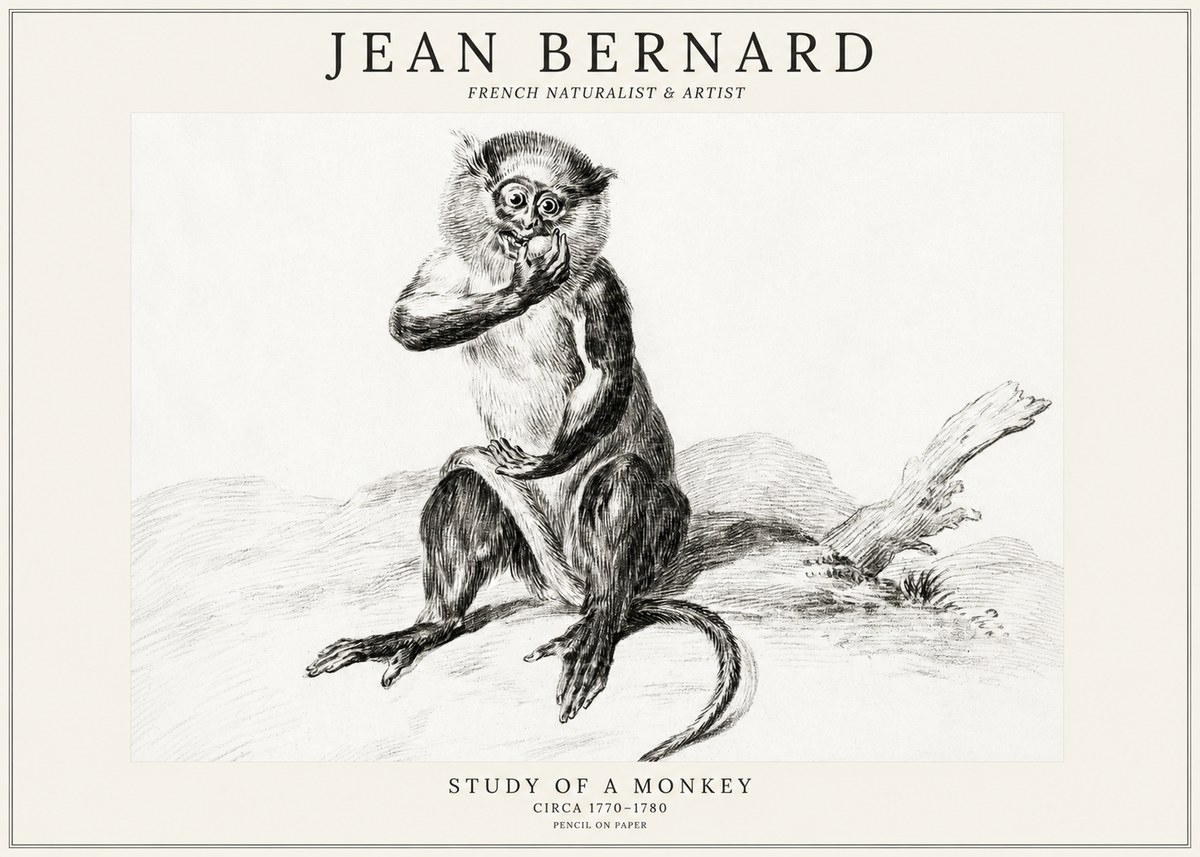 Jean Bernard Study of a Monkey No3 - Póster