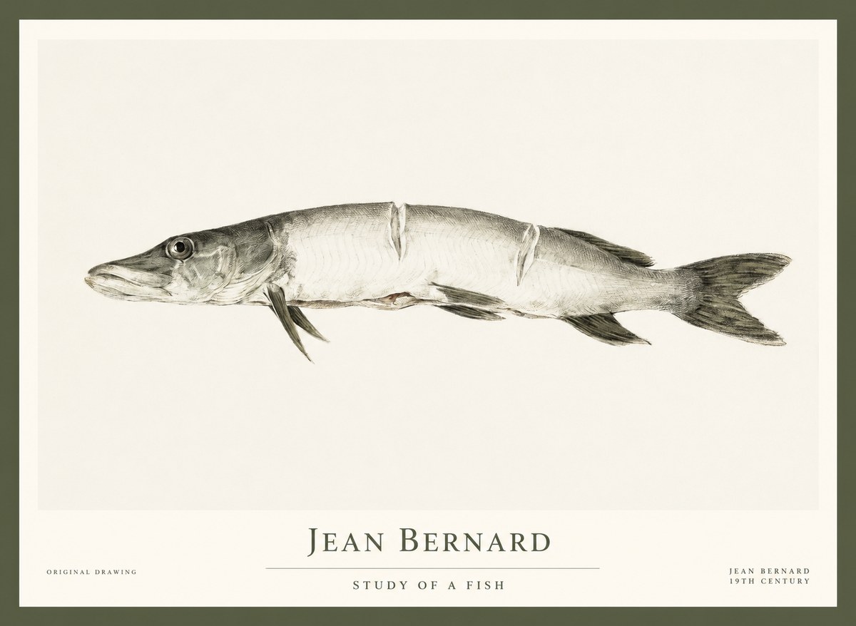 Jean Bernard Study of a Fish II No1 - Póster