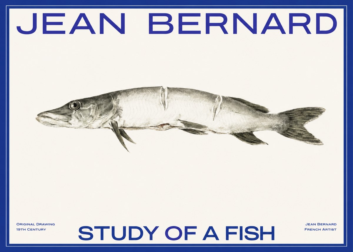 Jean Bernard Study of a Fish II No2 - Póster