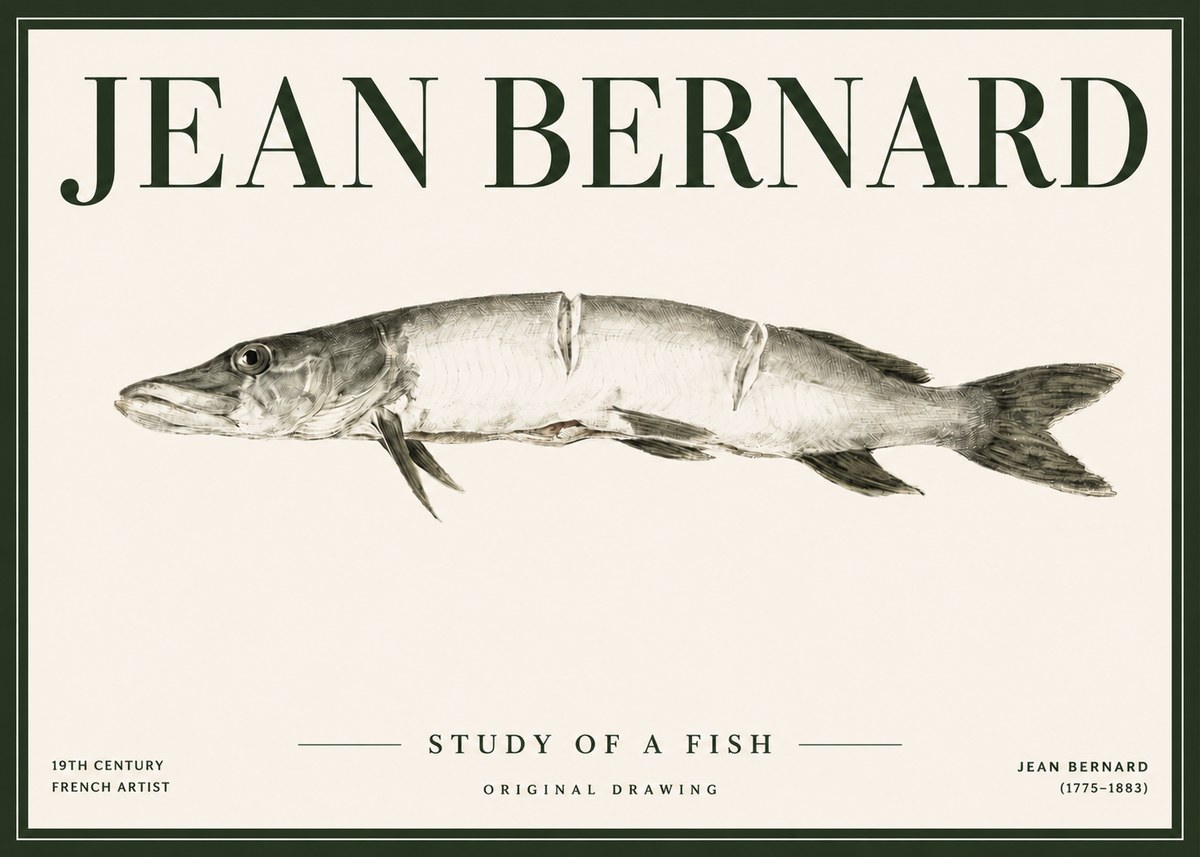 Jean Bernard Study of a Fish II No4 - Póster