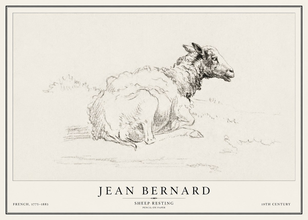 Jean Bernard Sheep Resting No1 - Póster