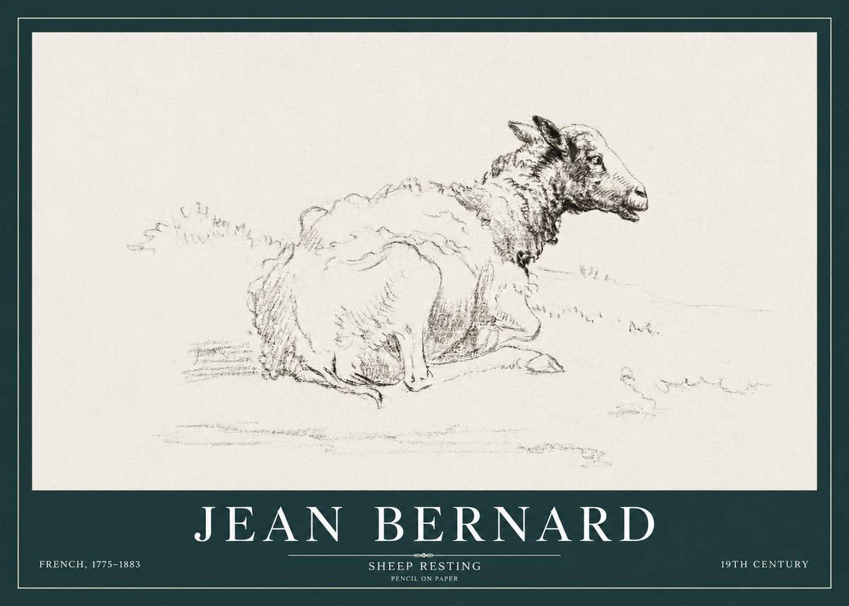 Jean Bernard Sheep Resting No3 - Póster