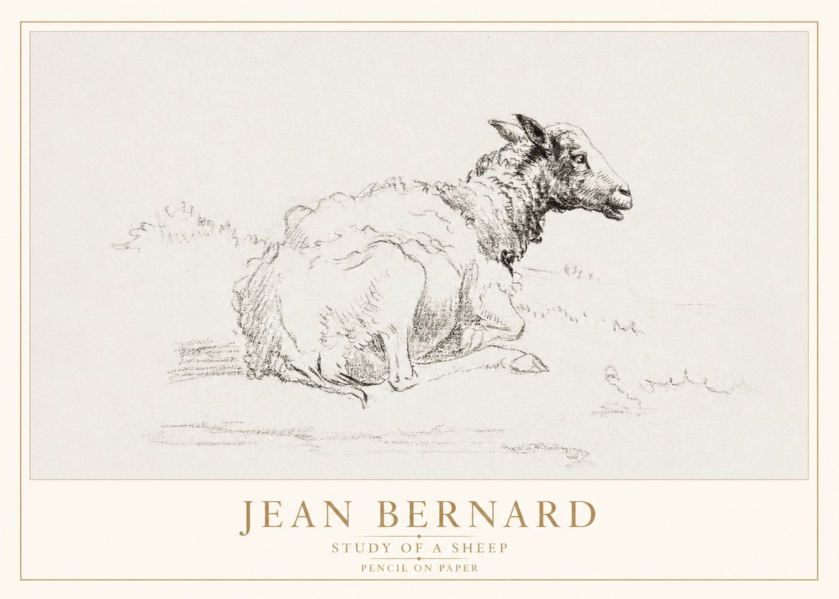 Jean Bernard Sheep Resting No4 - Póster
