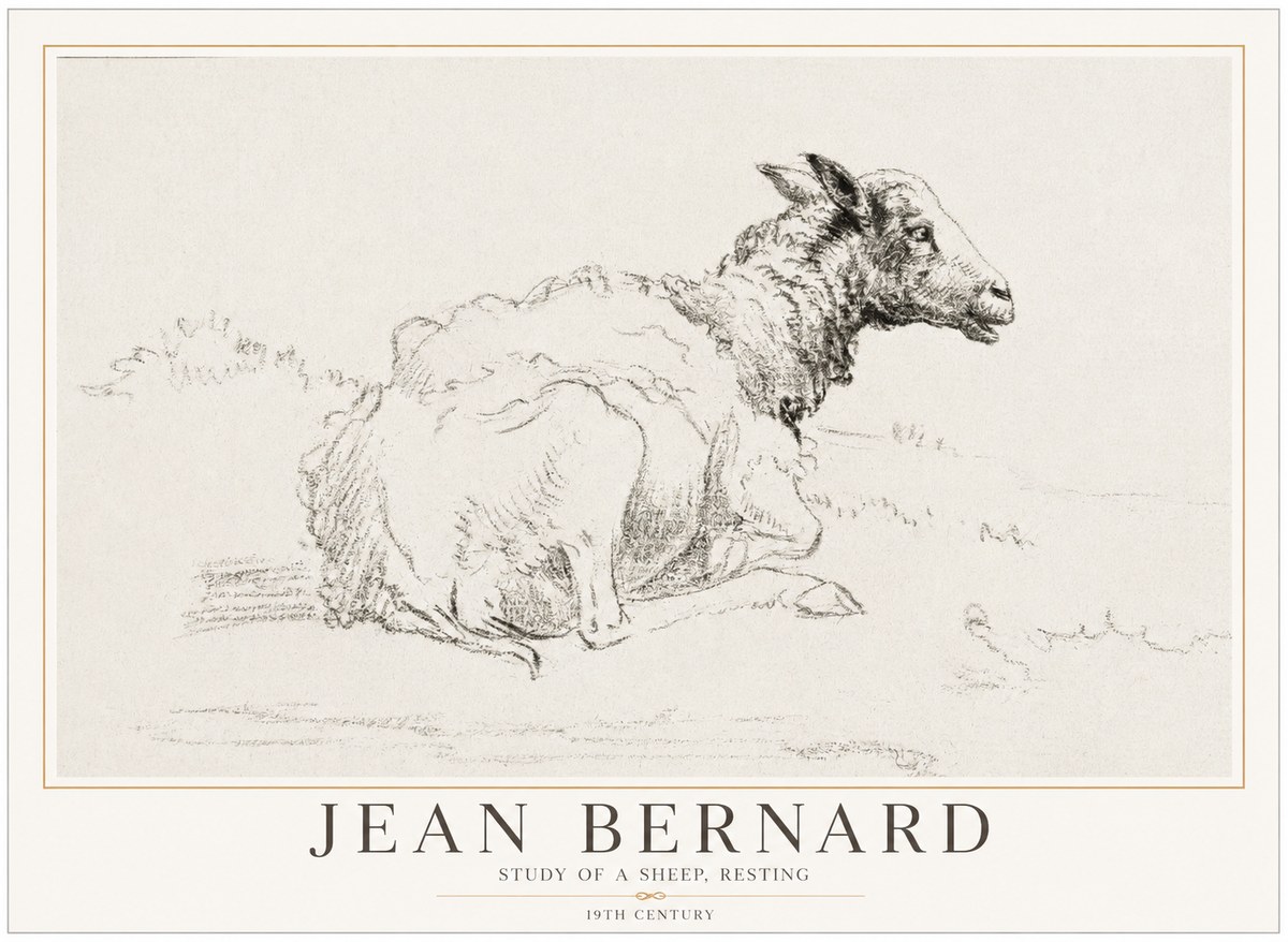 Jean Bernard Sheep Resting No5 - Póster