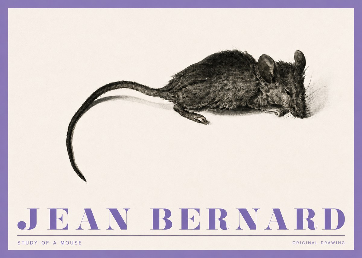 Jean Bernard Study of a Mouse I No4 - Póster