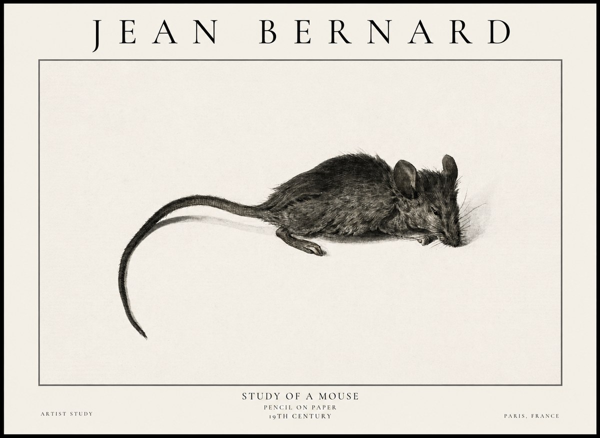 Jean Bernard Study of a Mouse I No6 - Póster