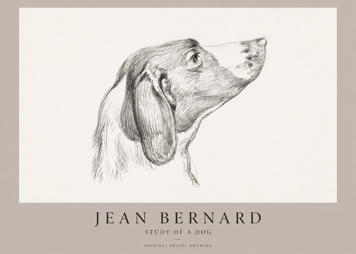 Jean Bernard Study of a Dog I No1 - Póster