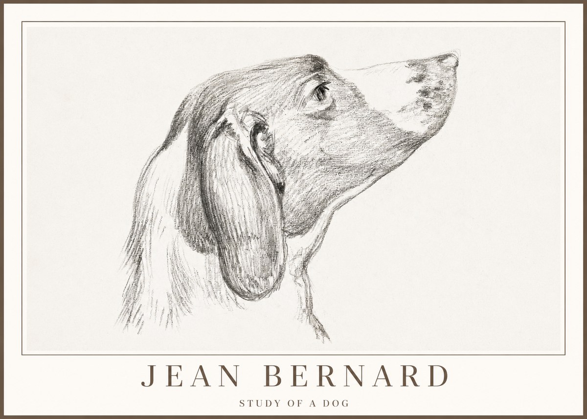Jean Bernard Study of a Dog I No2 - Póster