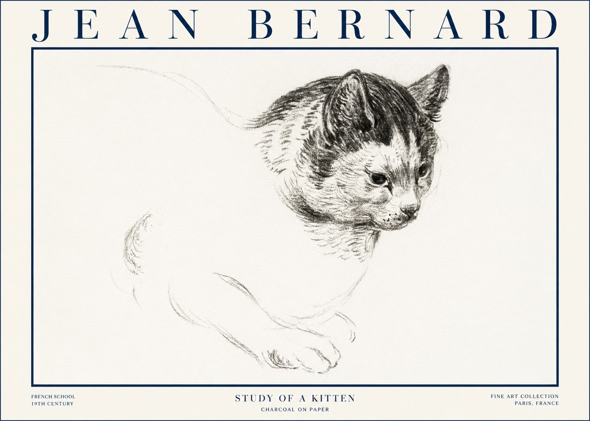Jean Bernard Study of a Kitten I No4 - Póster