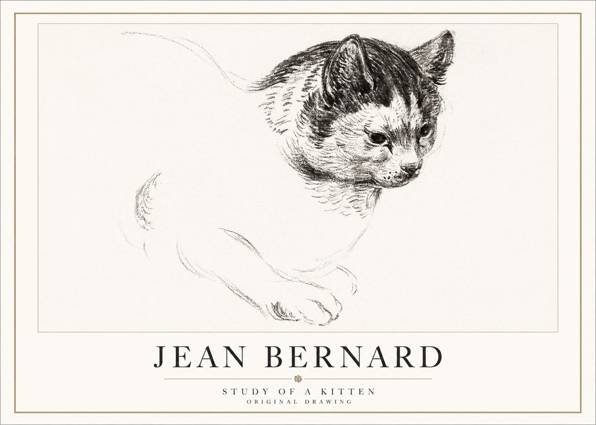 Jean Bernard Study of a Kitten I No5 - Póster
