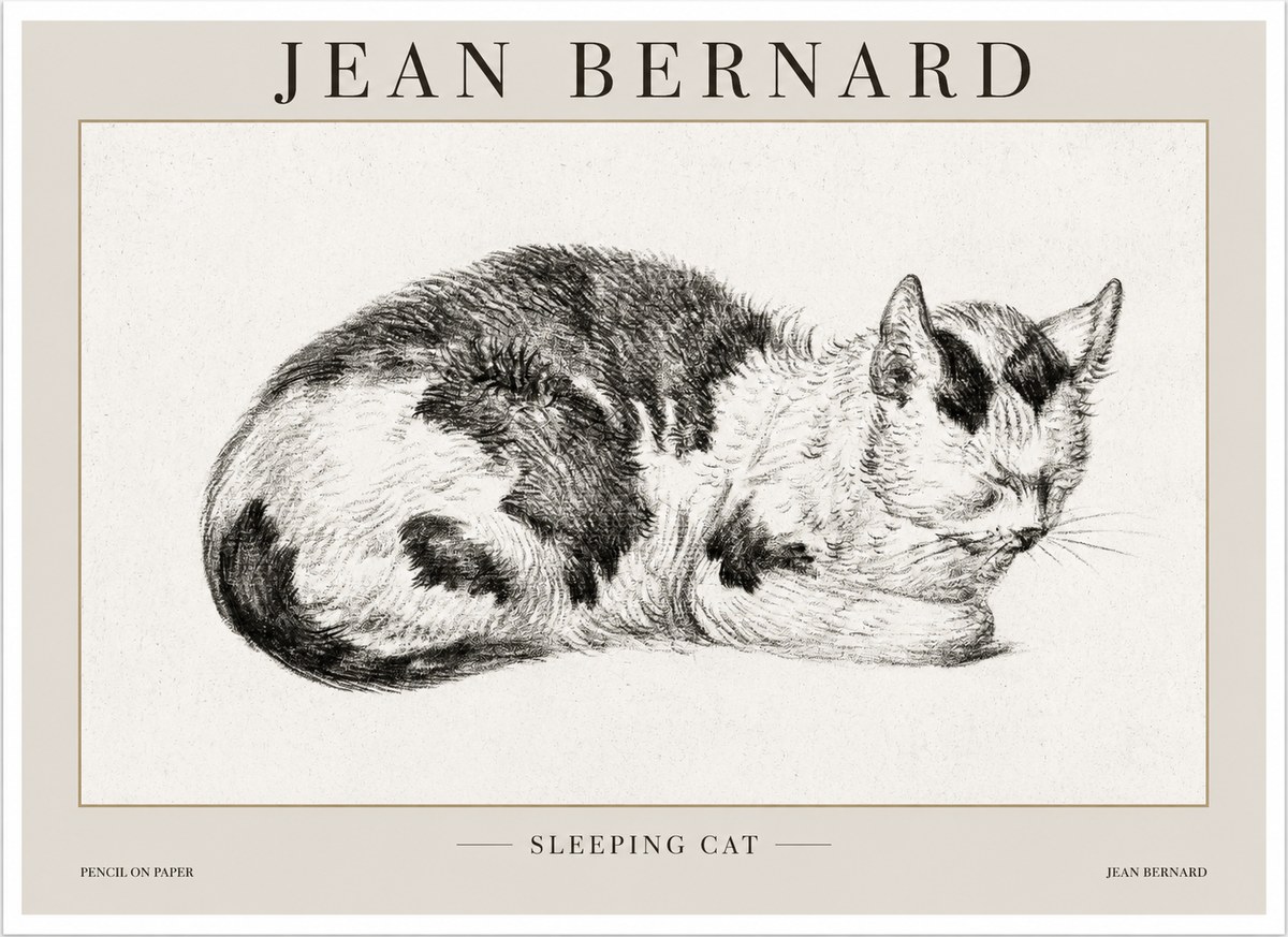 Jean Bernard Sleeping Cat I No1 - Póster