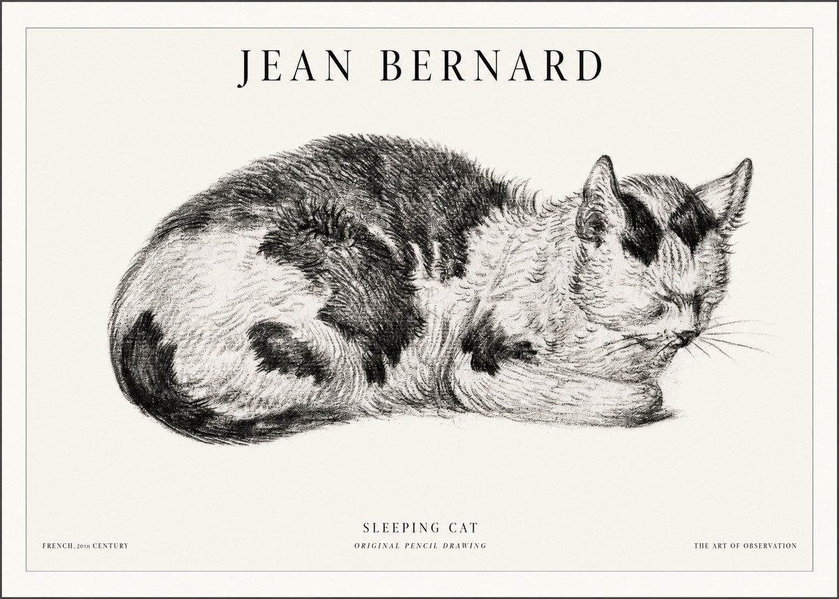 Jean Bernard Sleeping Cat I No5 - Póster