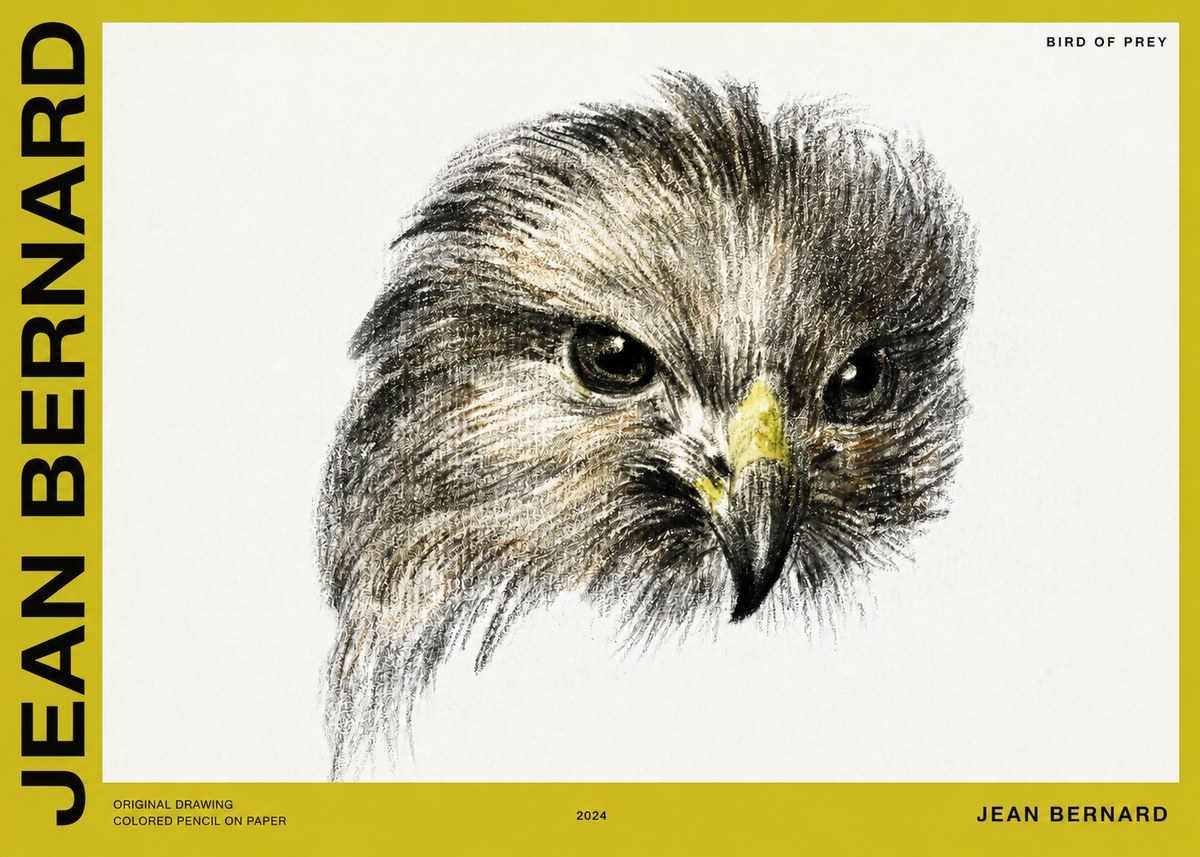 Jean Bernard Bird of Prey No2 - Póster