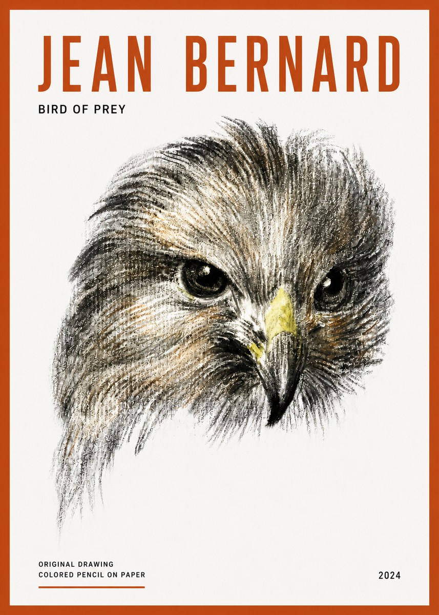 Jean Bernard Bird of Prey No5 - Póster