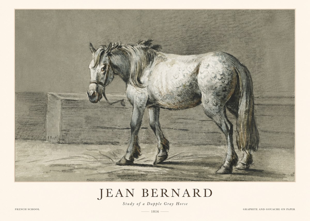 Jean Bernard Study of a Dapple Gray Horse No1 - Póster