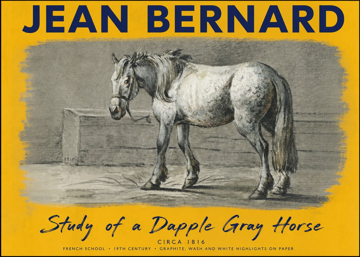Jean Bernard Study of a Dapple Gray Horse No5 - Póster