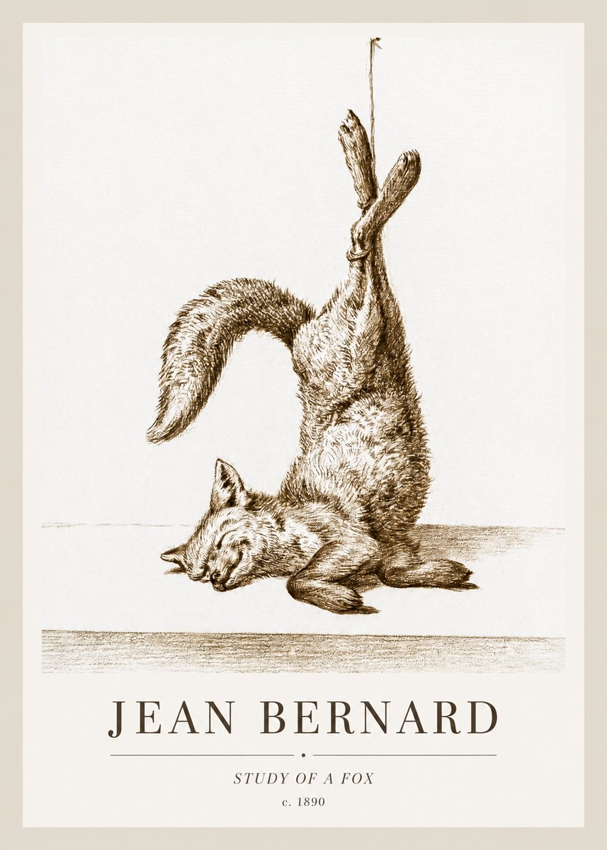 Jean Bernard Study of a Fox No1 - Póster