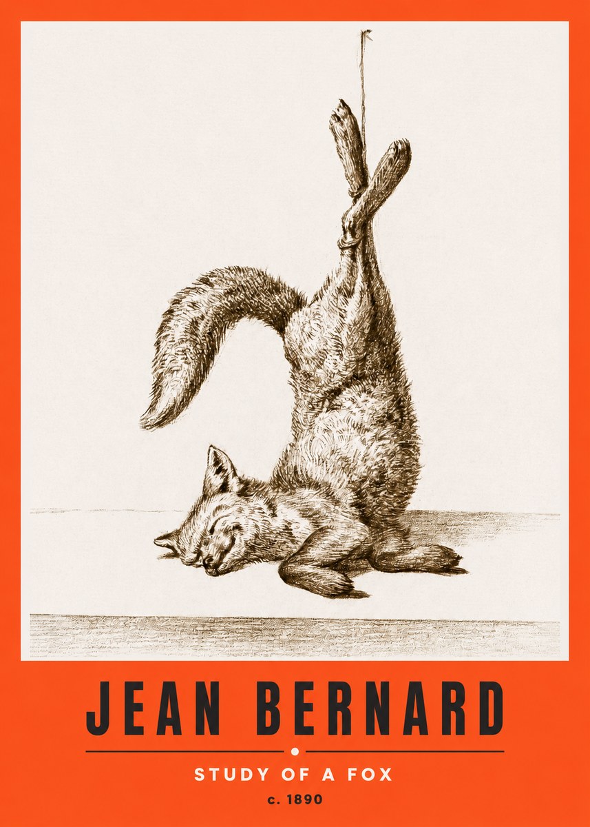 Jean Bernard Study of a Fox No2 - Póster
