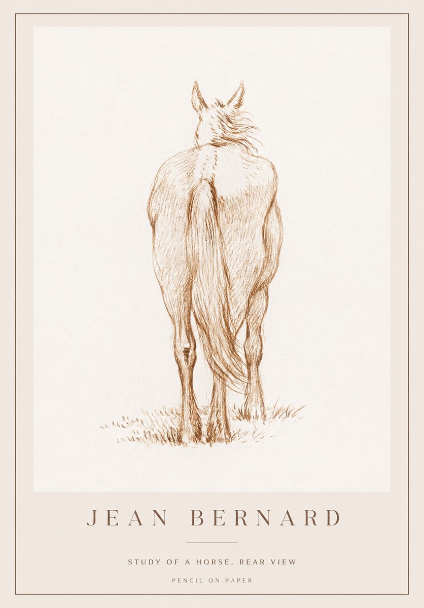 Jean Bernard Study of a Horse, Rear View No1 - Póster