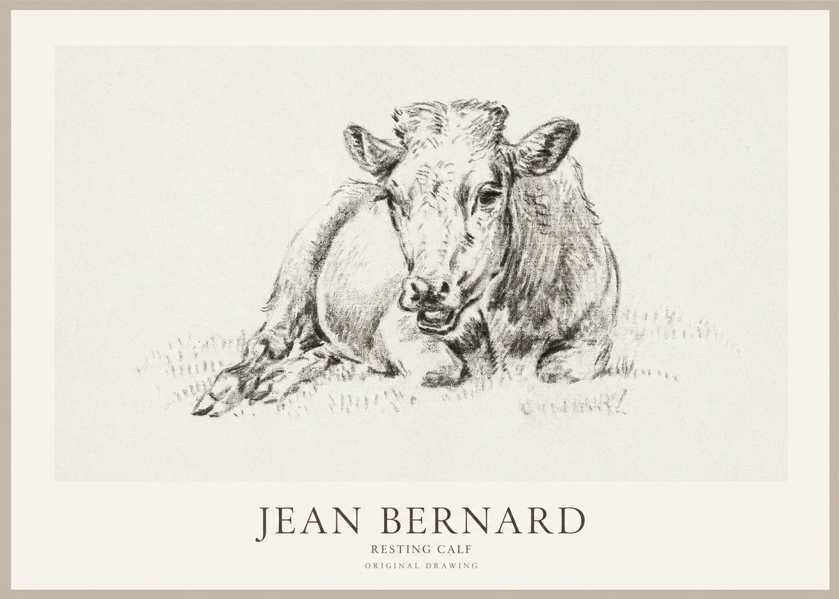 Jean Bernard Resting Calf II No1 - Póster