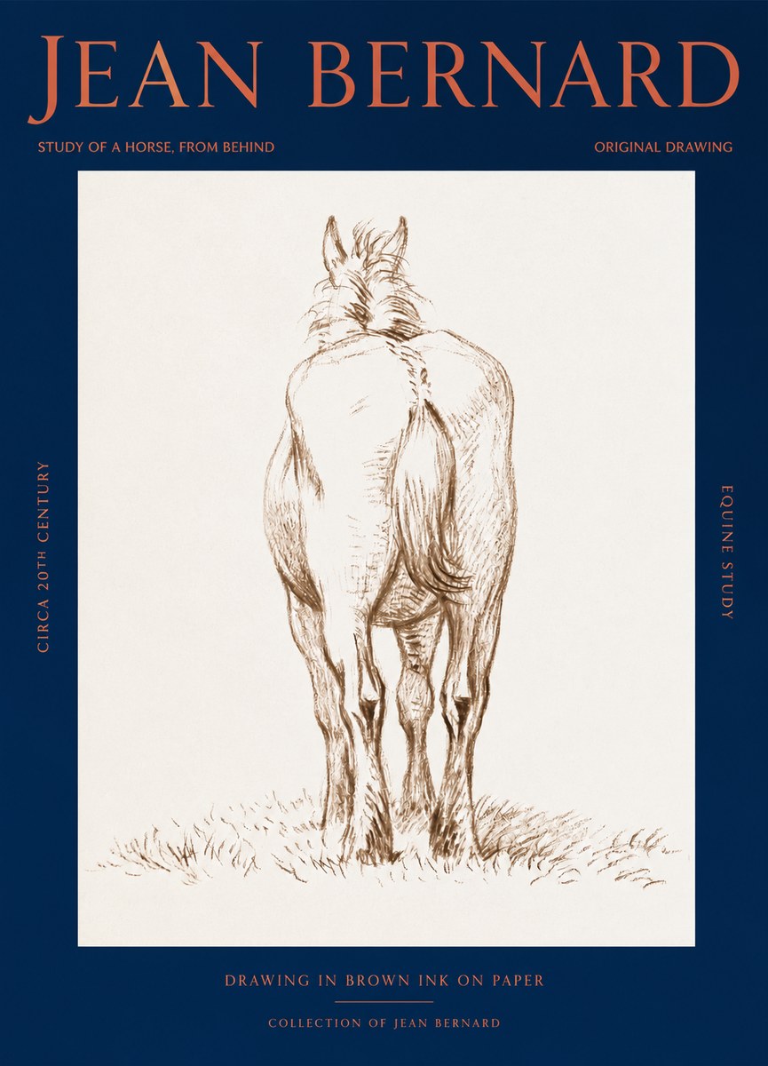 Jean Bernard Horse Study - from Behind No3 - Póster