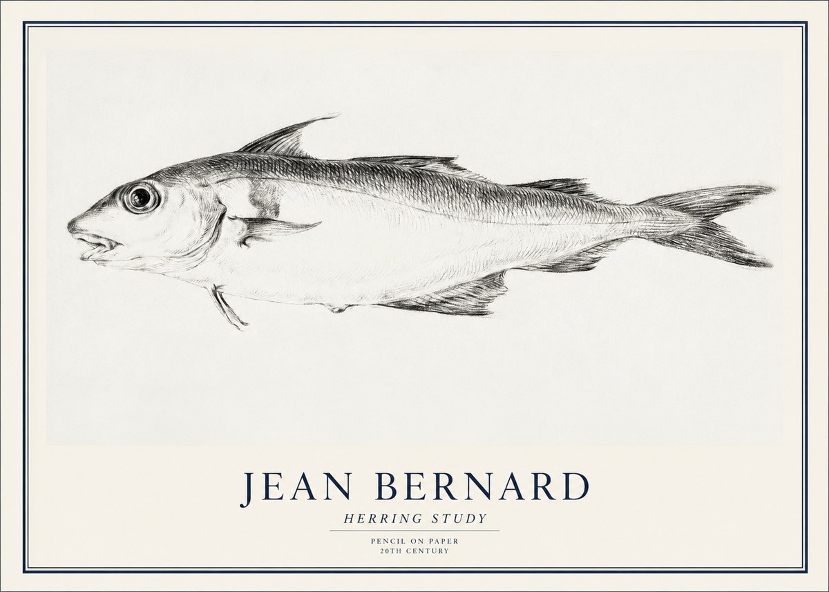 Jean Bernard Herring Study No1 - Póster