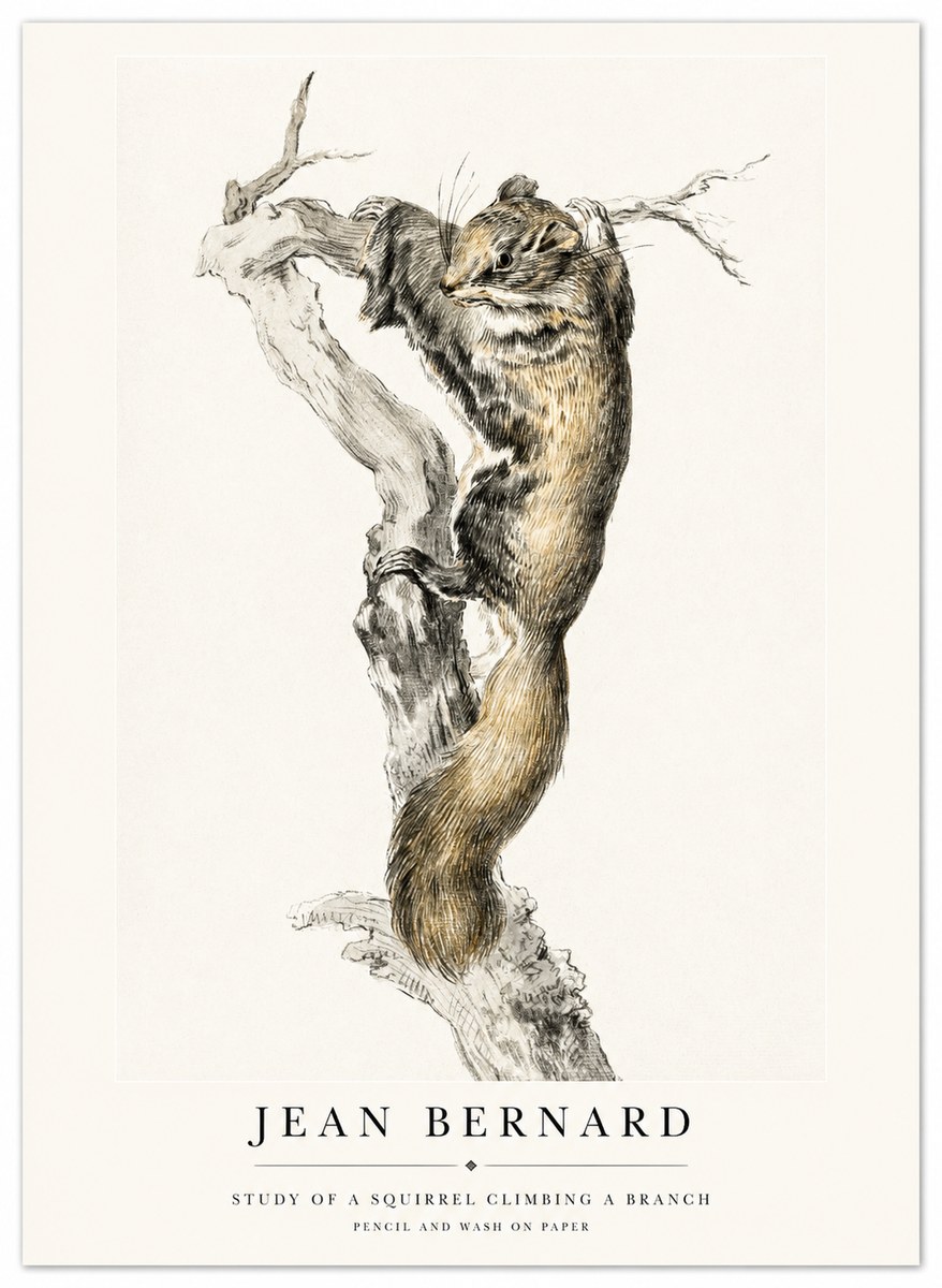 Jean Bernard Study of a Squirrel Climbing a Branch No1 - Póster