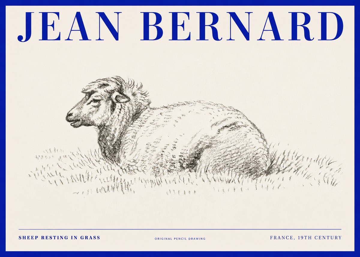 Jean Bernard Sheep Resting in Grass No2 - Póster