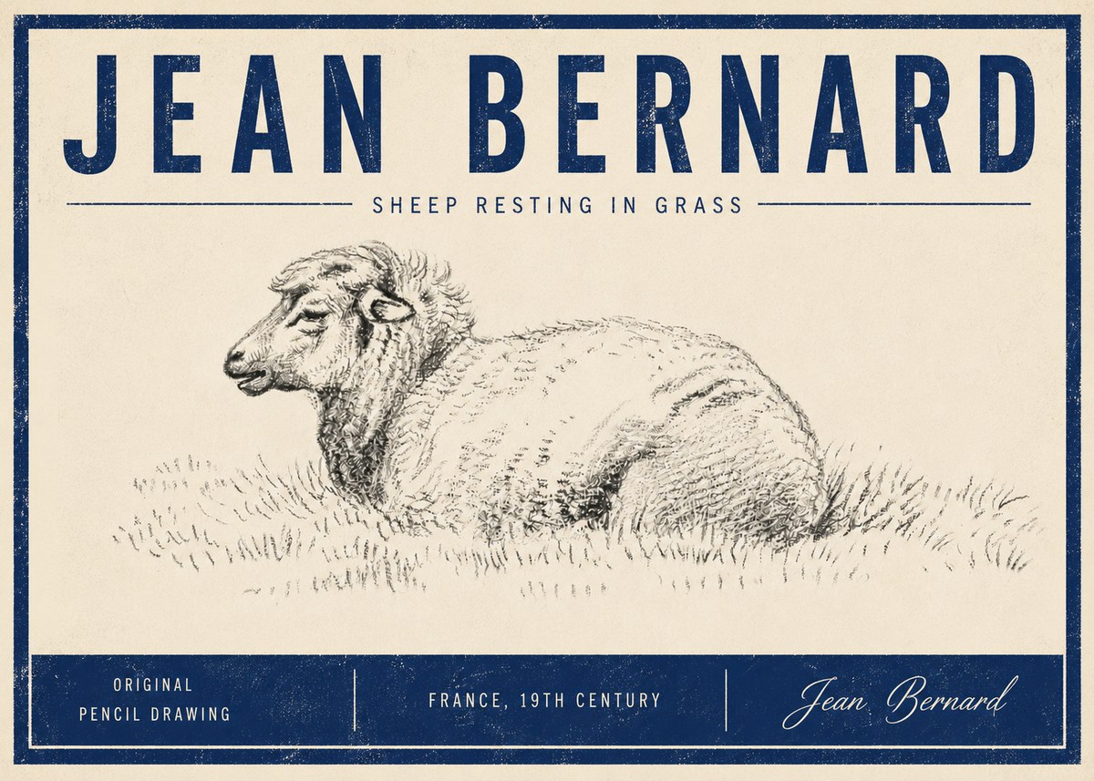 Jean Bernard Sheep Resting in Grass No5 - Póster