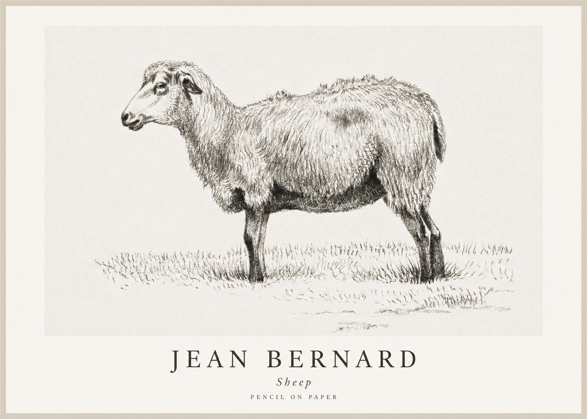 Jean Bernard Sheep No1 - Póster