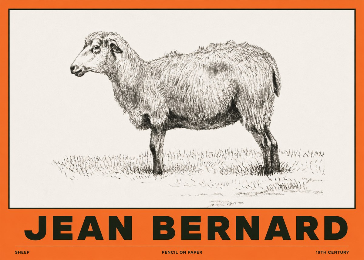 Jean Bernard Sheep No2 - Póster