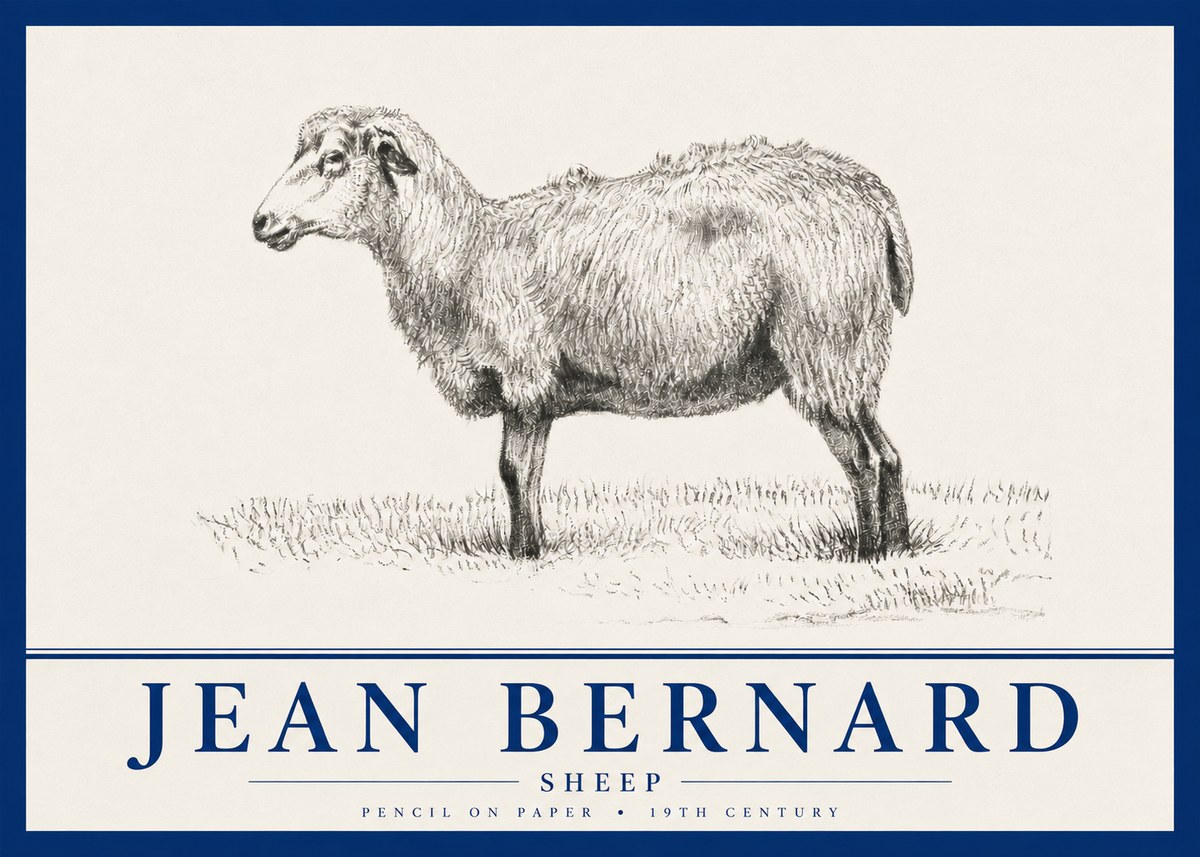 Jean Bernard Sheep No4 - Póster