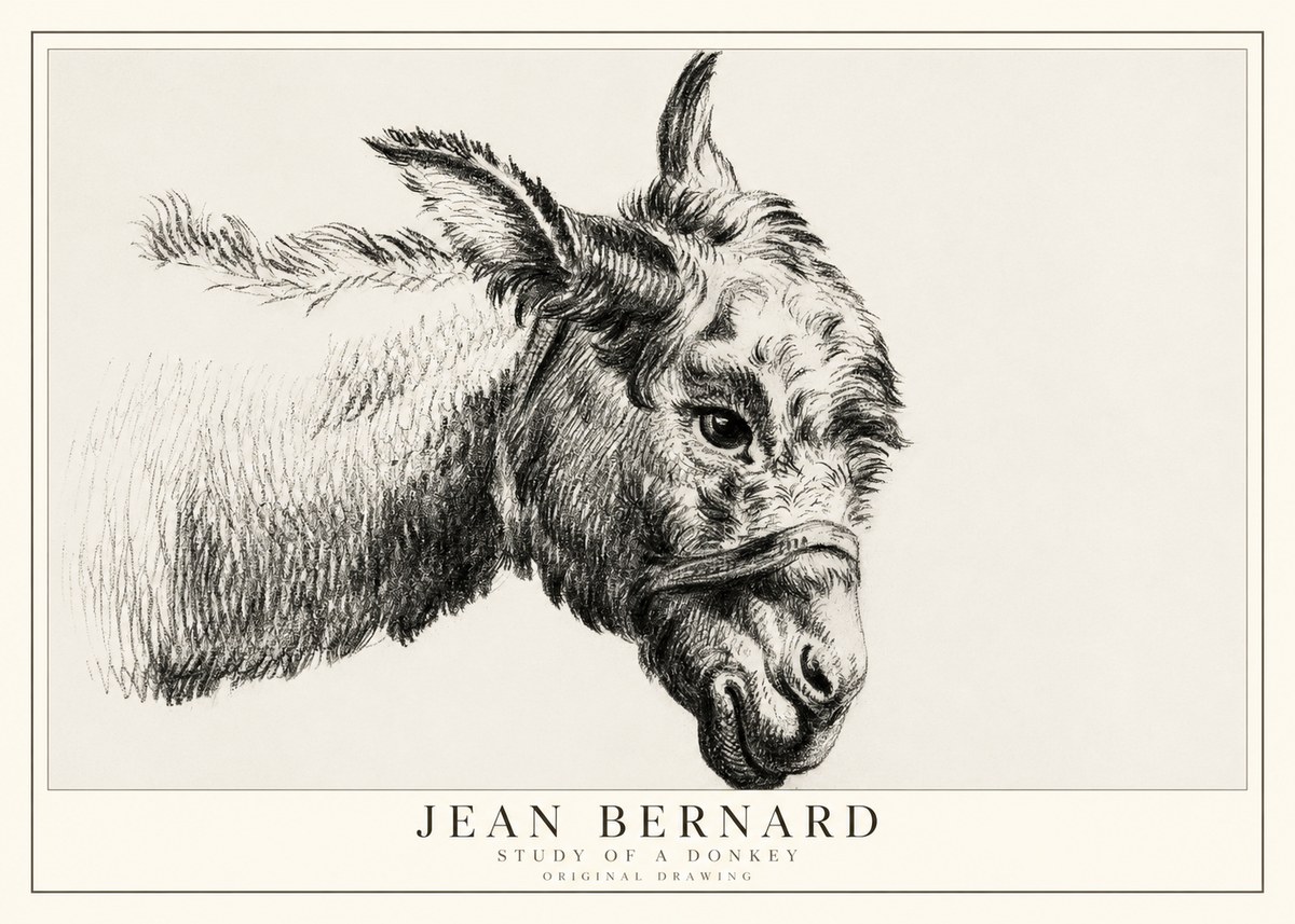 Jean Bernard Study of a Donkey I No1 - Póster