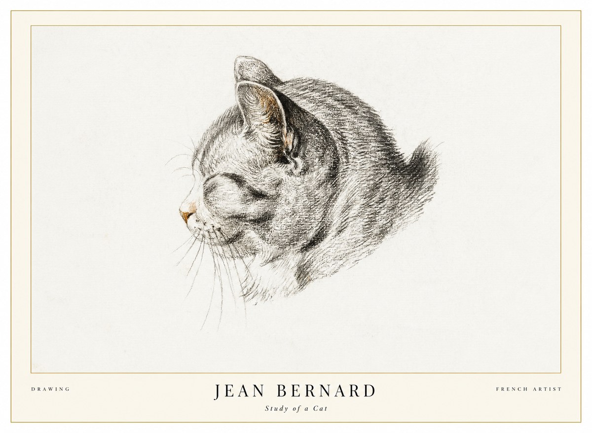 Jean Bernard Study of a Cat I No1 - Póster