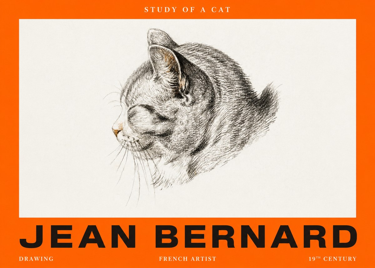 Jean Bernard Study of a Cat I No2 - Póster