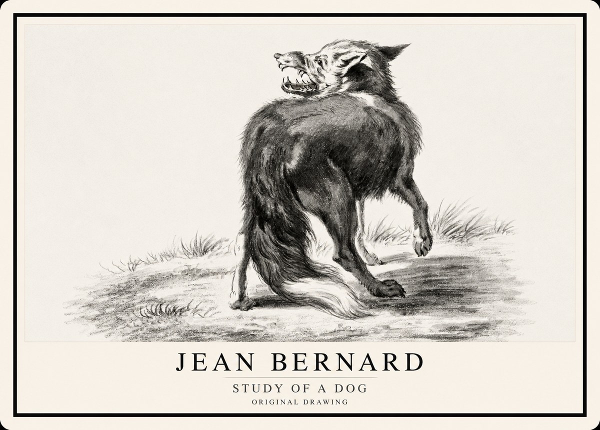 Jean Bernard Study of a Dog II No1 - Póster