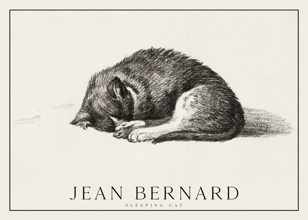 Jean Bernard Sleeping Cat III No1 - Póster