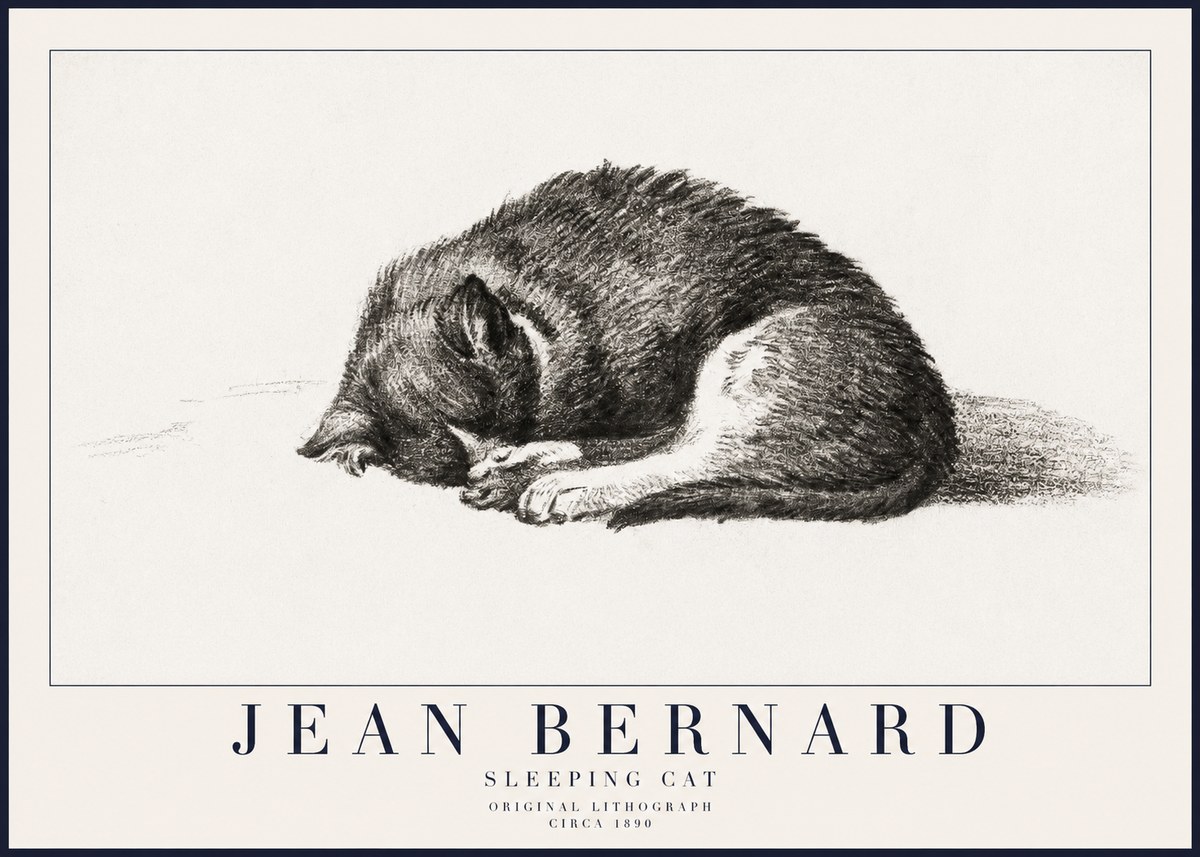 Jean Bernard Sleeping Cat III No6 - Póster