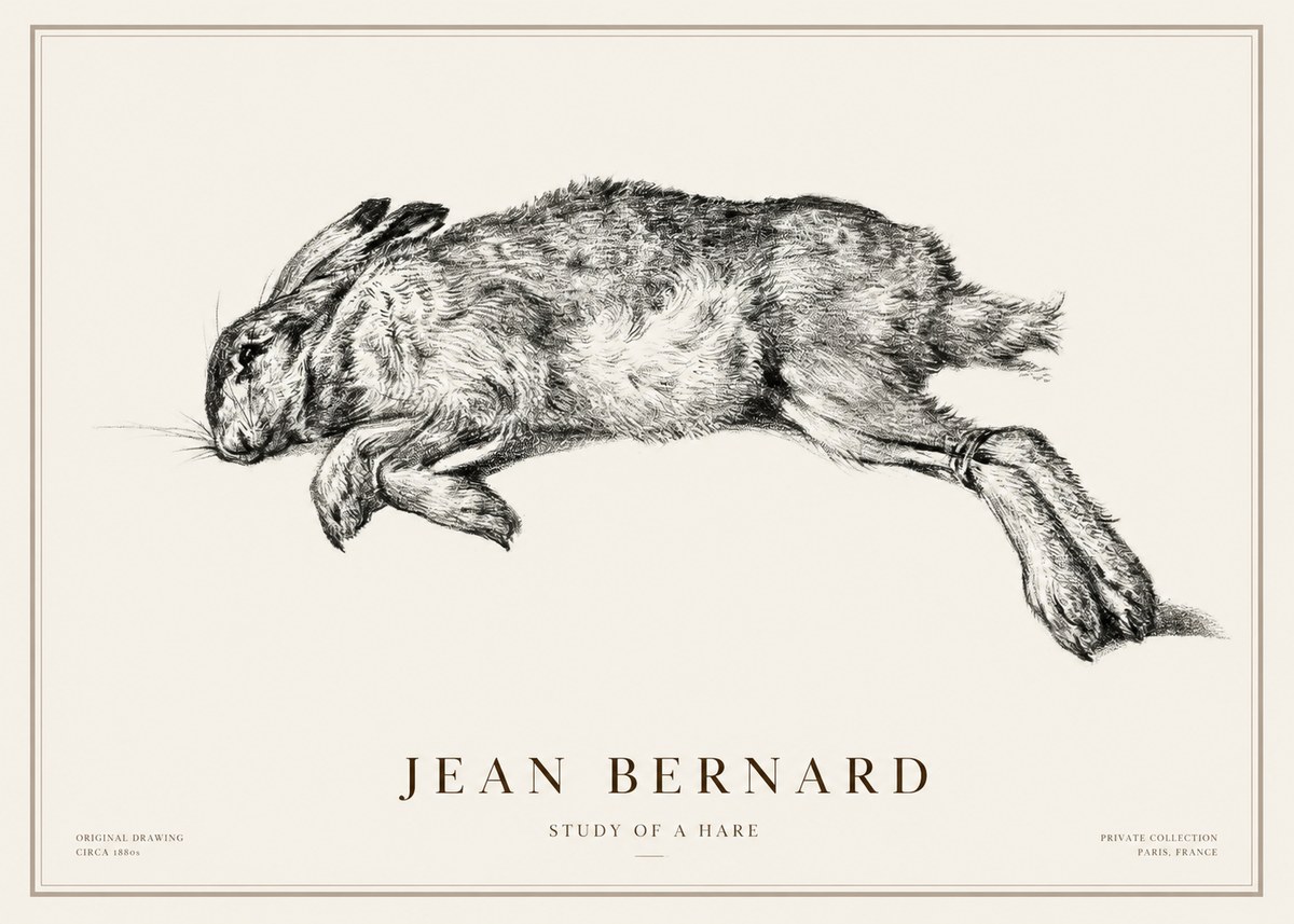 Jean Bernard Study of a Rabbit No3 - Póster