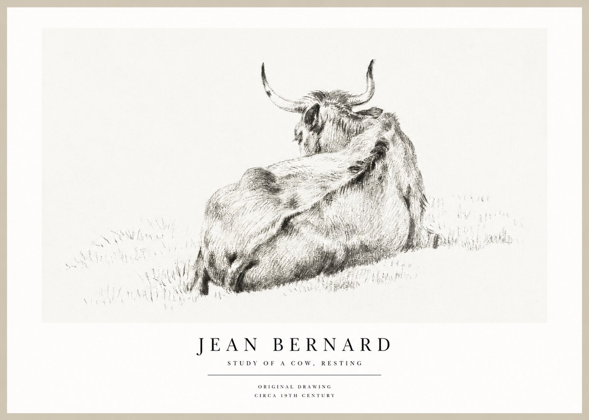 Jean Bernard Resting Bovine - Study in Graphite No2 - Póster