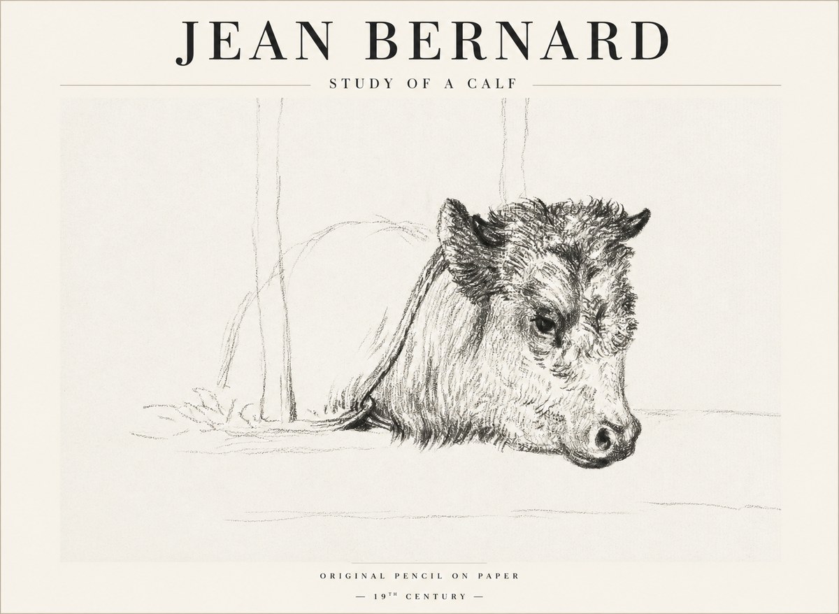 Jean Bernard Study of a Calf I No1 - Póster