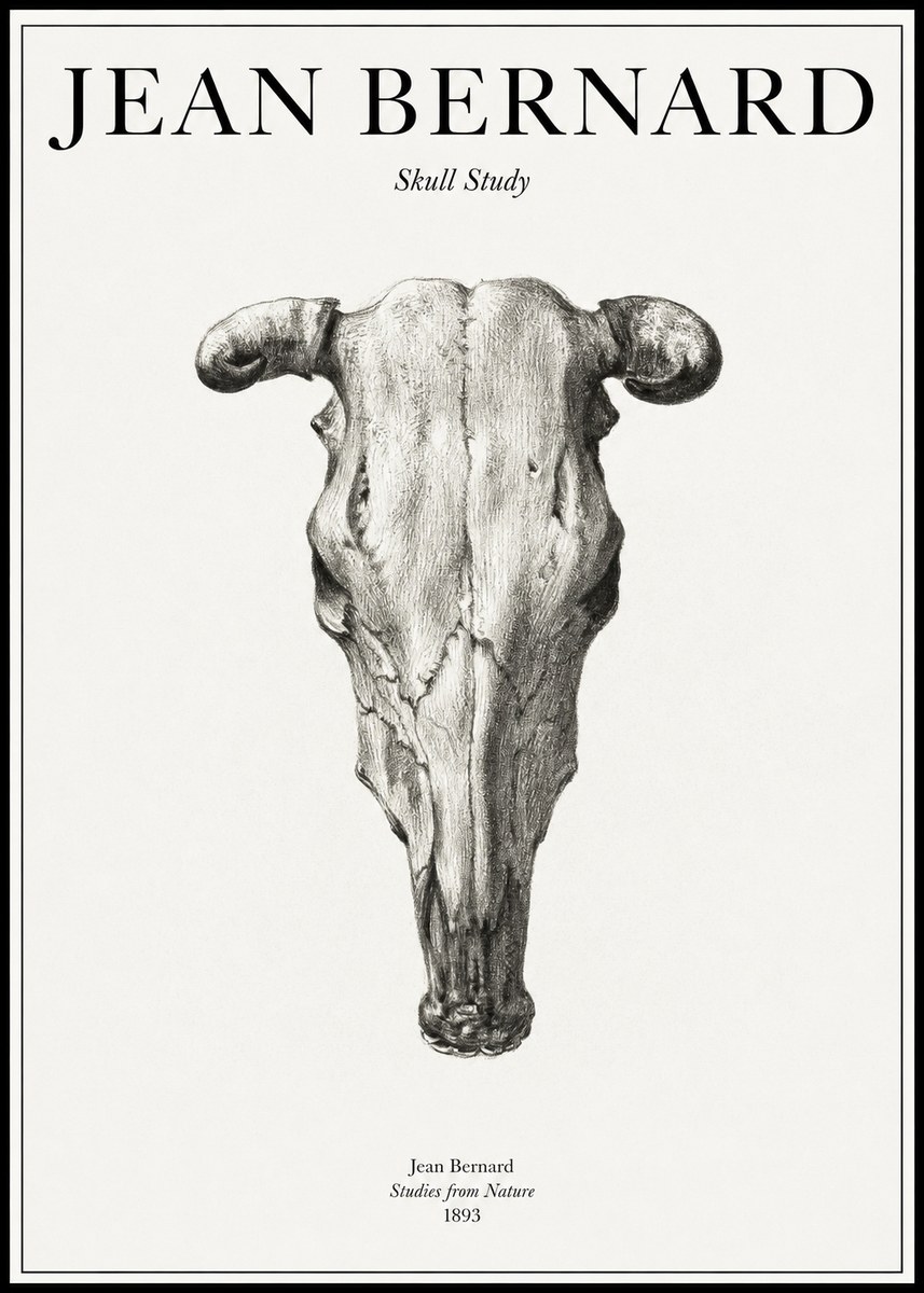 Jean Bernard Skull Study No1 - Póster