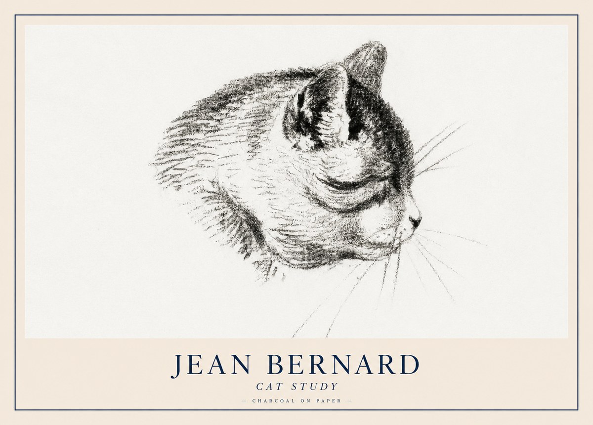 Jean Bernard Cat Study IV No2 - Póster