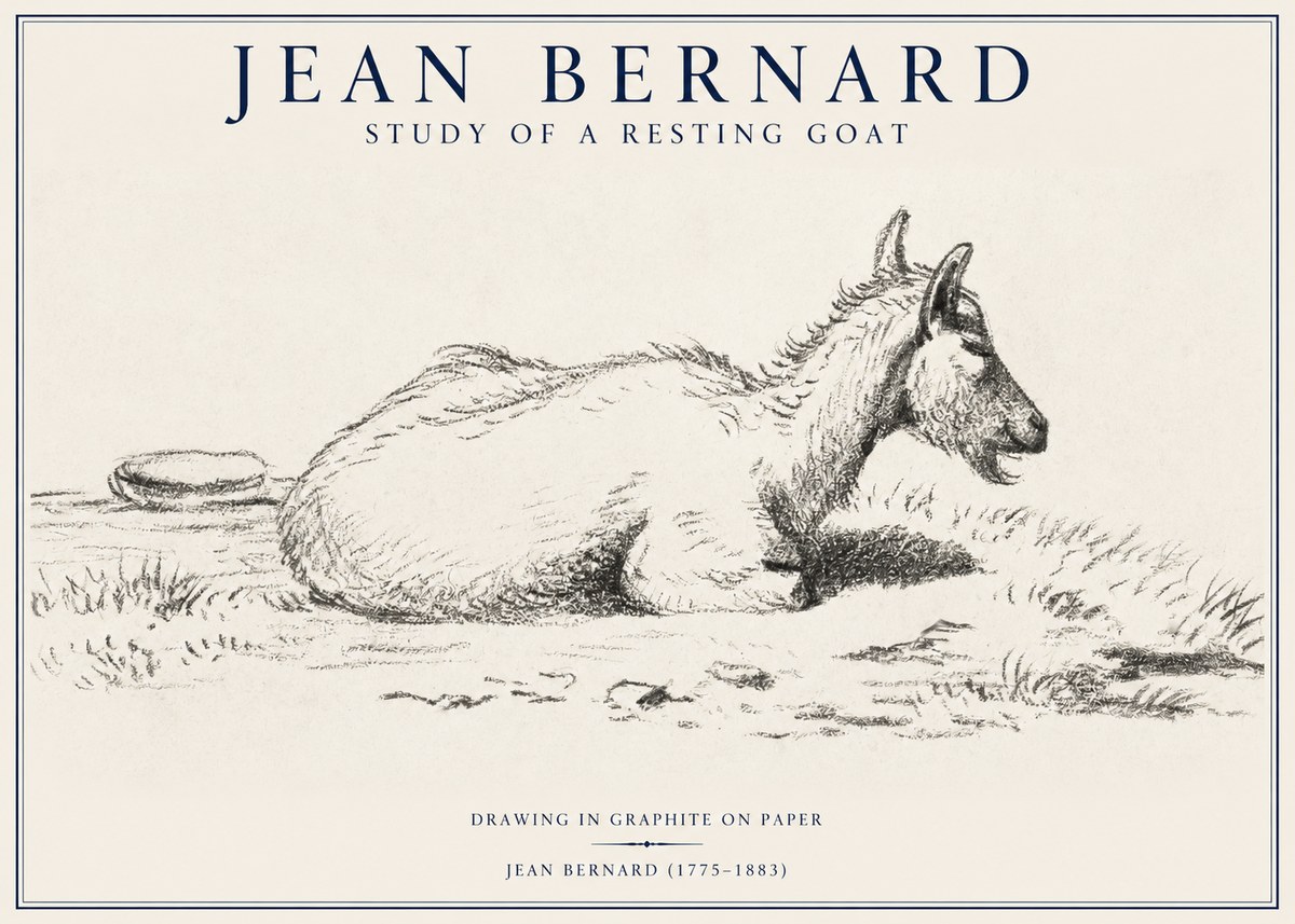 Jean Bernard Study of a Resting Goat No1 - Póster