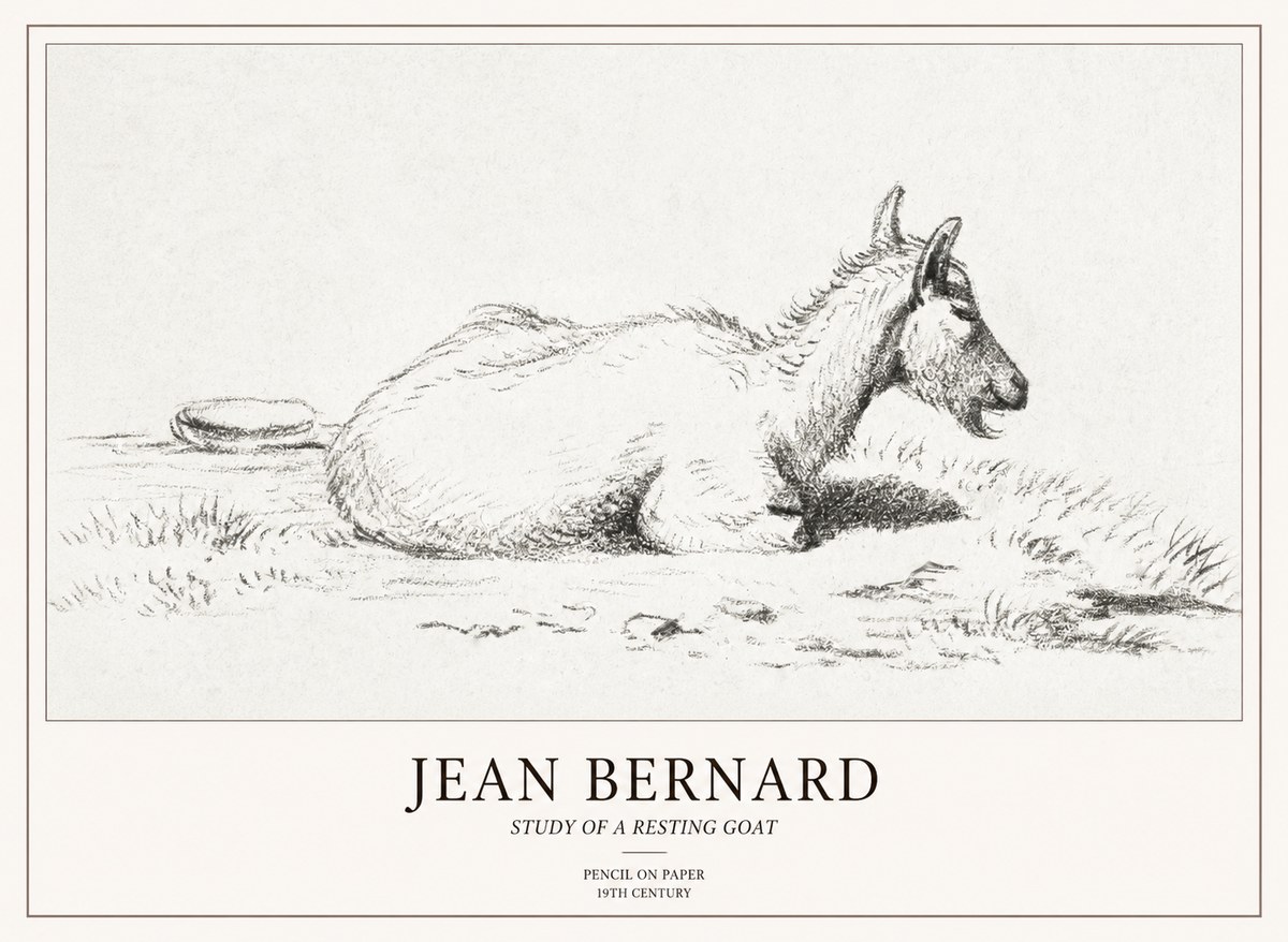 Jean Bernard Study of a Resting Goat No2 - Póster