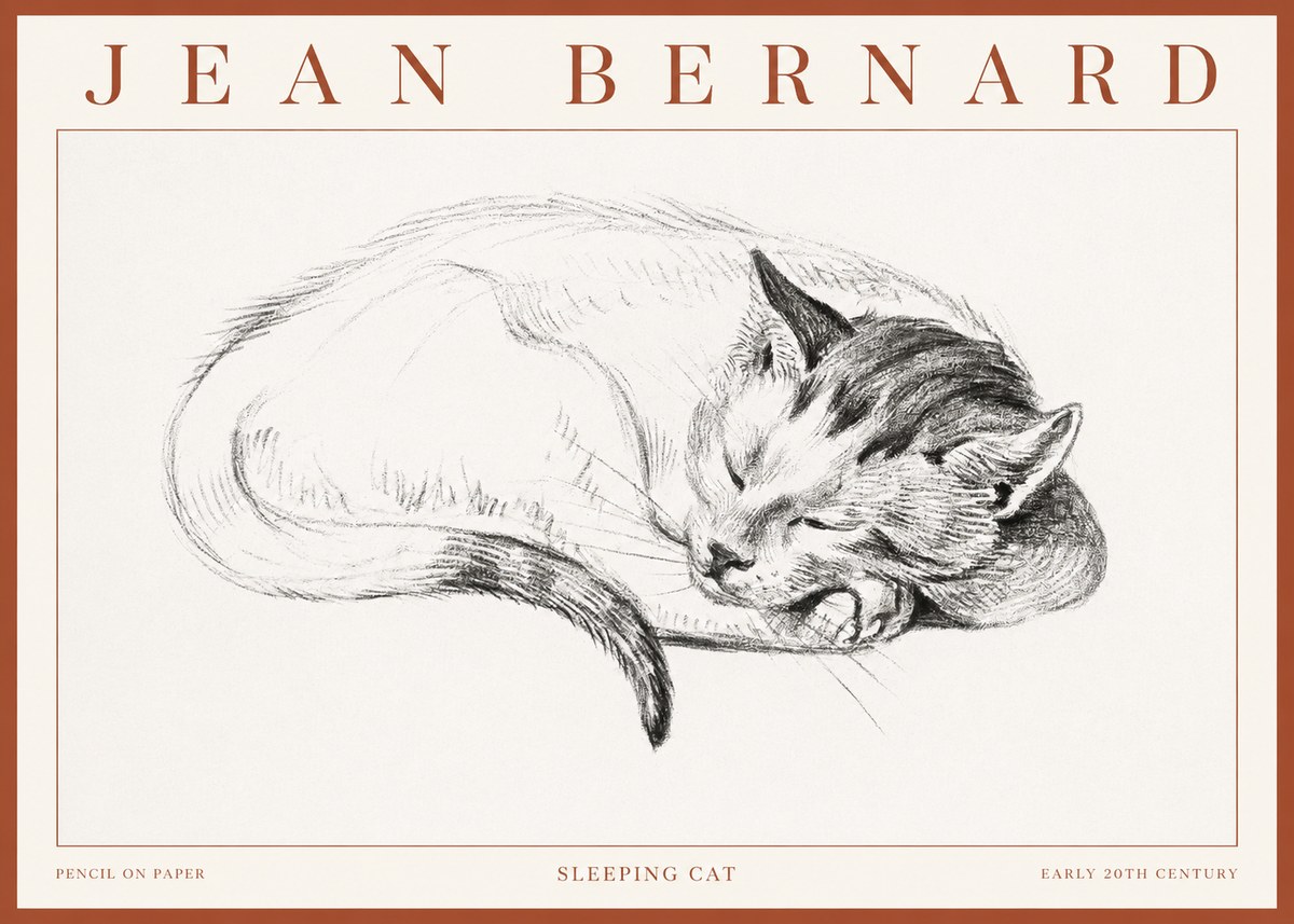Jean Bernard Sleeping Cat IV No3 - Póster