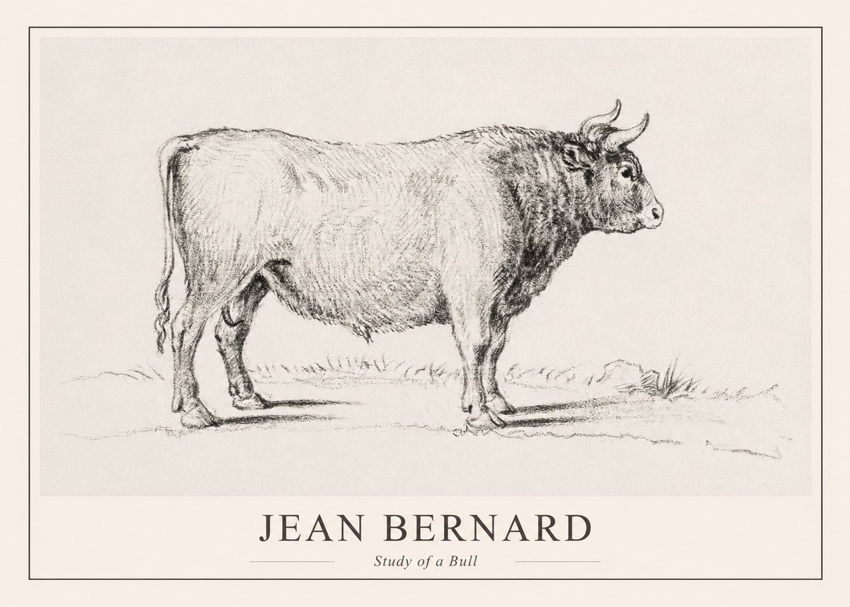 Jean Bernard Study of a Bull I No1 - Póster