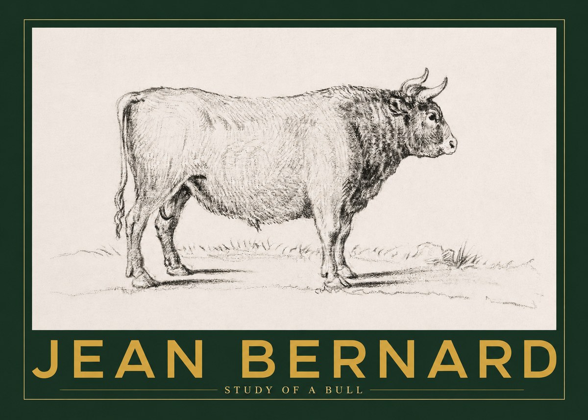 Jean Bernard Study of a Bull I No2 - Póster