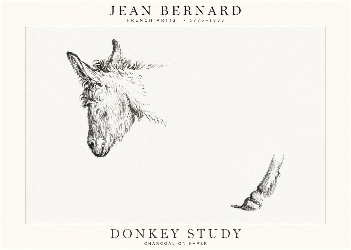 Jean Bernard Study of a Donkey II No2 - Póster